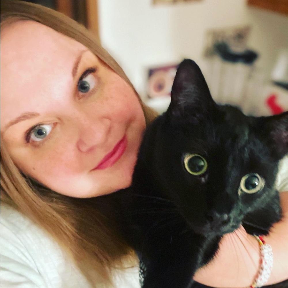 🐈🐈‍⬛
